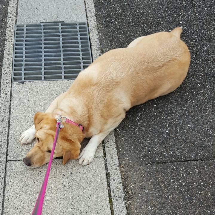 6bc7b42a 536c 4392 8856 a7fb8e2014f0