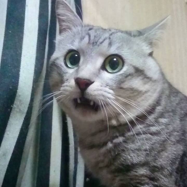 6bc8277e d1f3 47f1 b22e dc248c2591bb