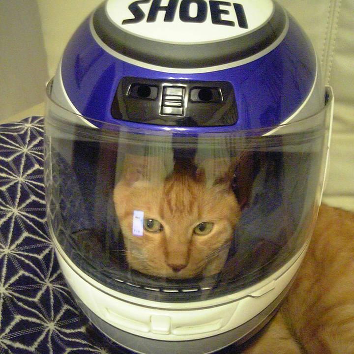 6bc866a1 2f2c 4f51 b437 61302a16ab11