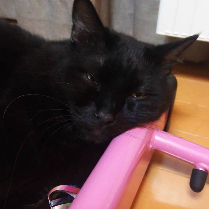 6bc97ae3 40a8 4550 b2e5 47f3ecea1d4a