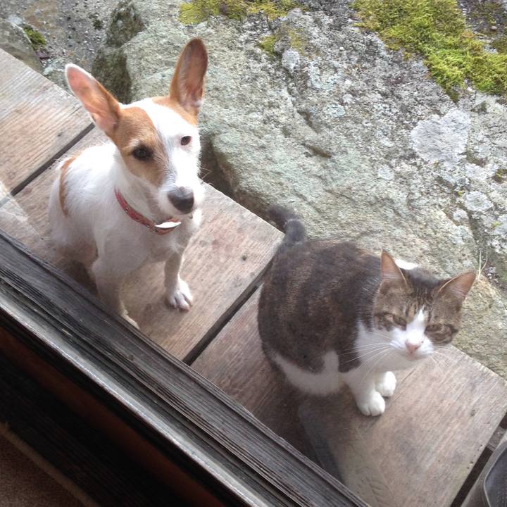 6bc9ae99 9396 461f 8c49 4f443465aaff