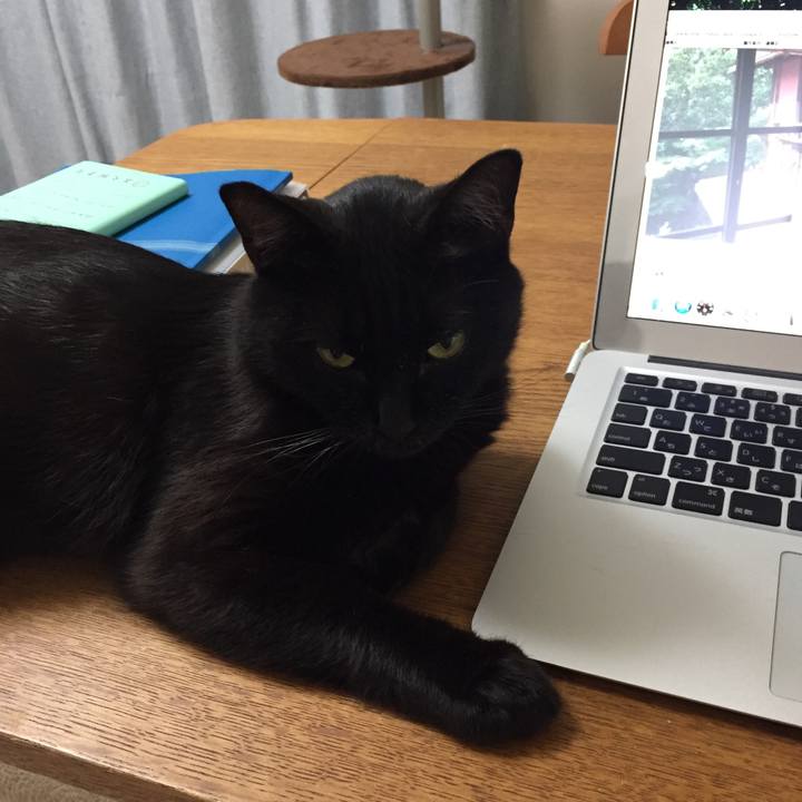 6bc9f594 3df6 4ff0 bb8e e488cb3d3823