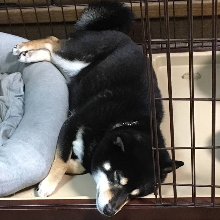 6bca18dc 6e02 4484 8a01 5653377d0a8e