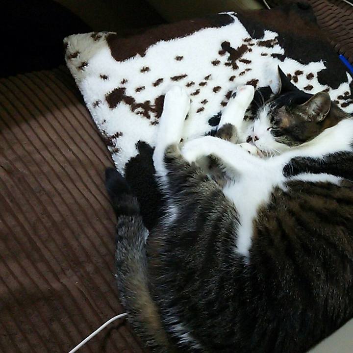 6bcb23e6 5c9d 432b 9a43 178e513bdc40