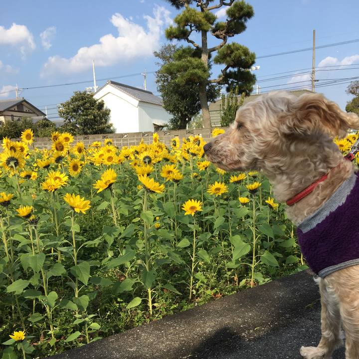 6bcb2c42 c702 4a0c 9908 0592ed8f5867