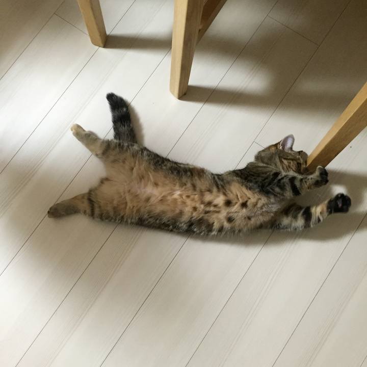 6bcb45a2 66c1 417b 8be1 799ebc0c32fc