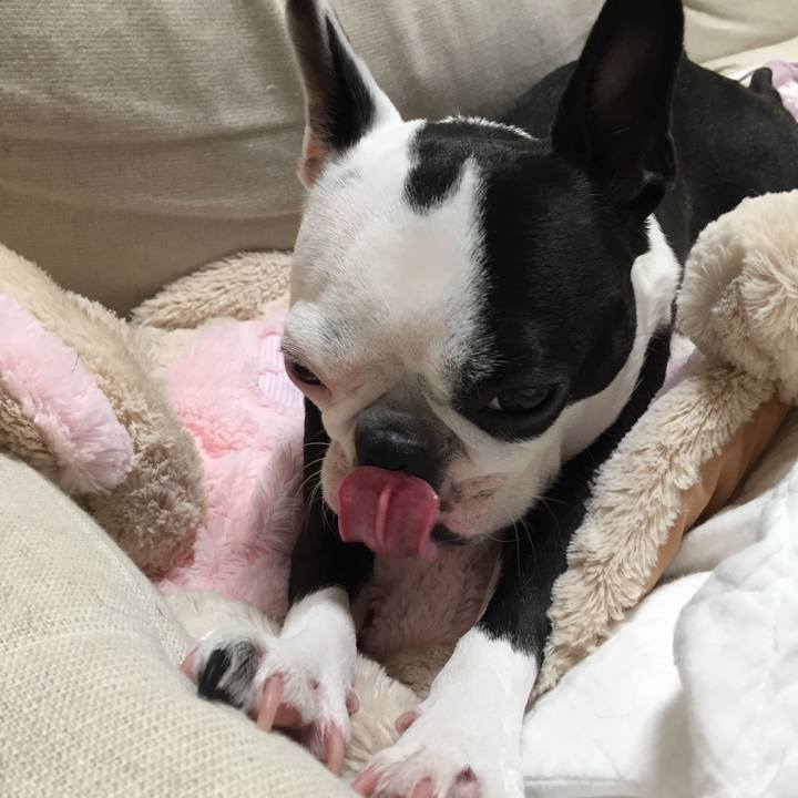 6bcbc9af c9cb 48f1 99b1 4cb965633de5