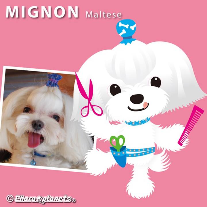 6bcc745b 32d3 4aba b822 79cf78e7535f