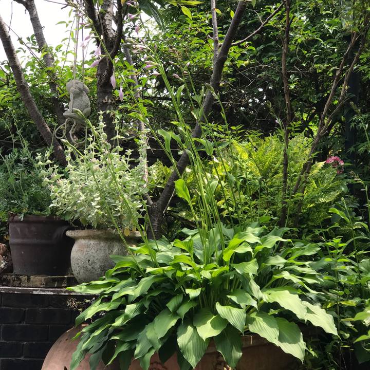 6bcc86a9 dc9f 44b9 aa6f e4d7a62bb8b4