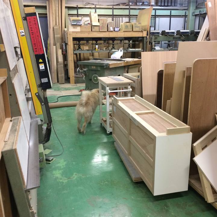 6bcd833d 30f6 4356 9bb9 ea825b0416ce