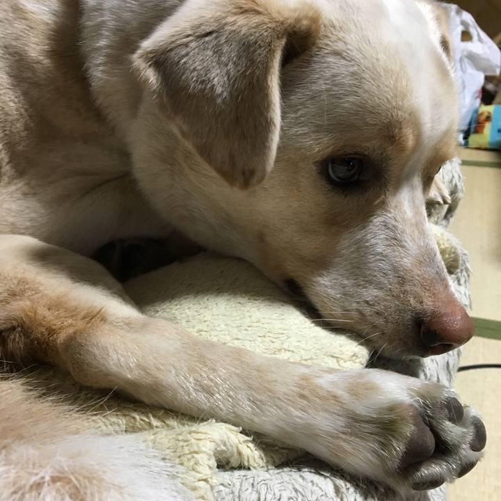 6bcd9565 b307 40a3 a12d 2f91e0ef1de7