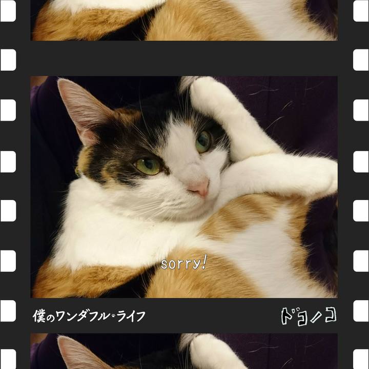 6bcda6a6 716f 407c aa1e 21f418196ddb