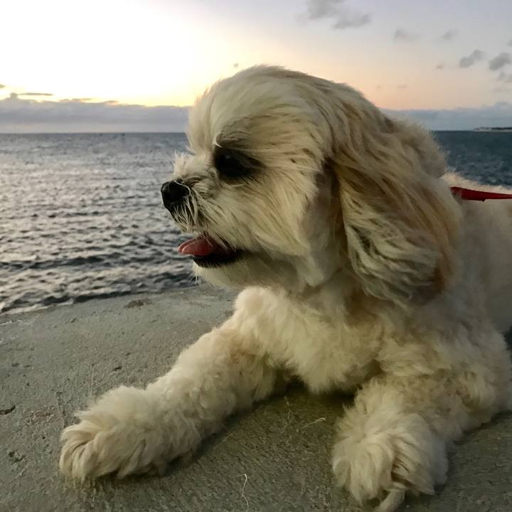 6bcdb081 251c 4305 b060 4bc0a847b32d