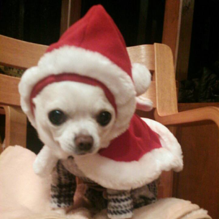 6bcde371 52f7 44c6 ba4c 3a211554d96f