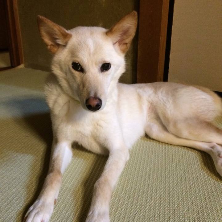 6bcef0d9 462e 414f 9c7b 48fb26d1ea8b