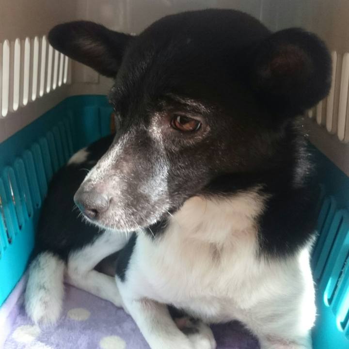 6bceffe6 3cd8 4439 a81d 55de96196e3a