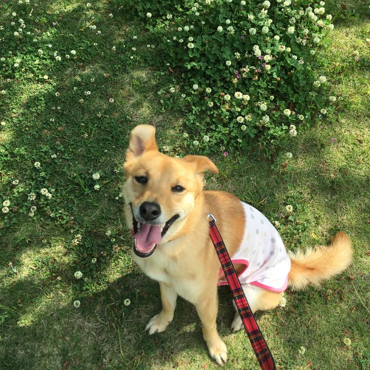 6bcf00d4 fb45 4799 9ea8 a70a049f69f6