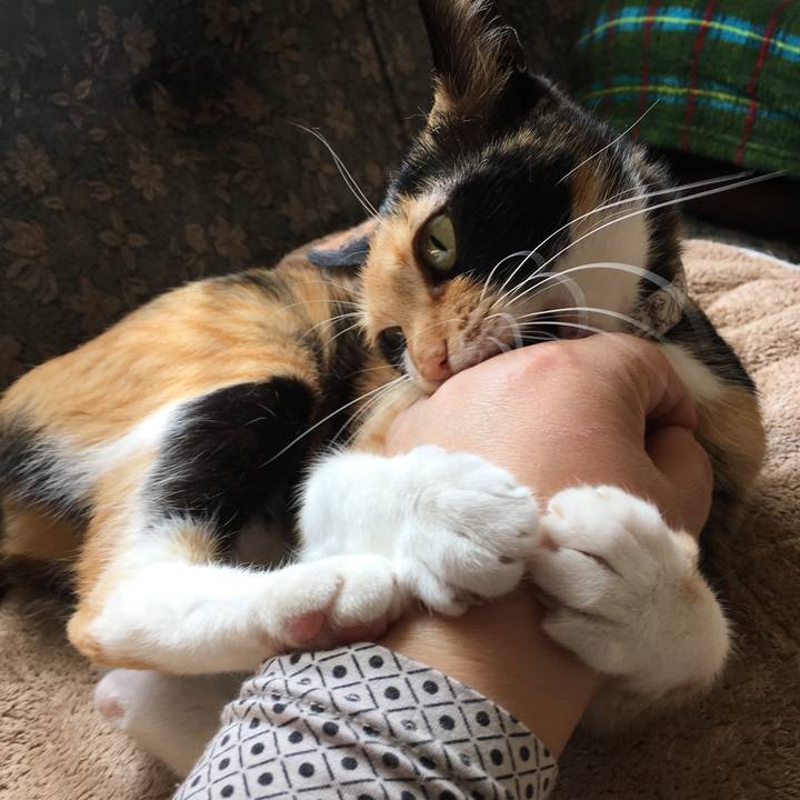 6bd00324 dca4 4456 855f 5ca1ab373743