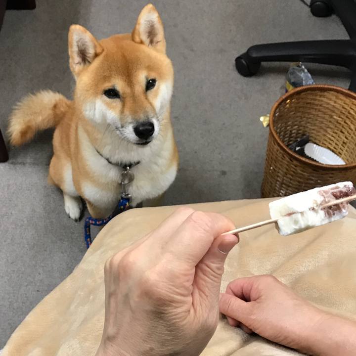 6bd02335 d0e0 428a 8b91 251c721f01e7