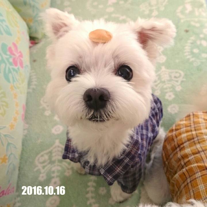 6bd07104 2c89 4c34 83b8 e3e715a24251