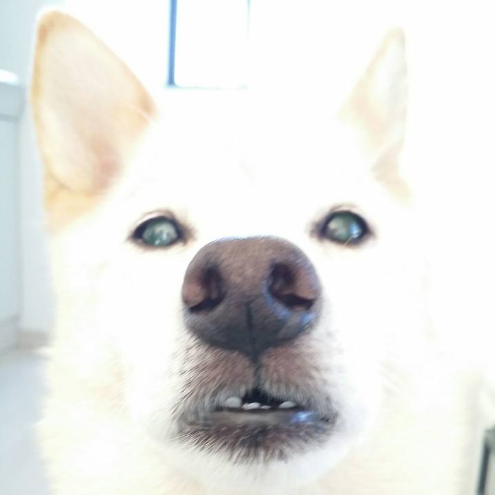 6bd089ae a927 43eb bd05 1f507dd1449c