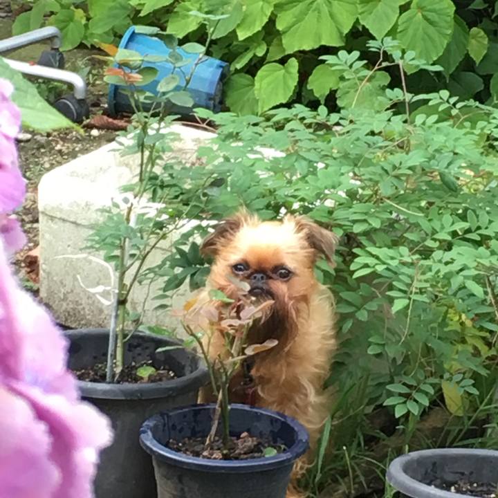 6bd0d126 98b7 4b6d b603 24ef403e4eff