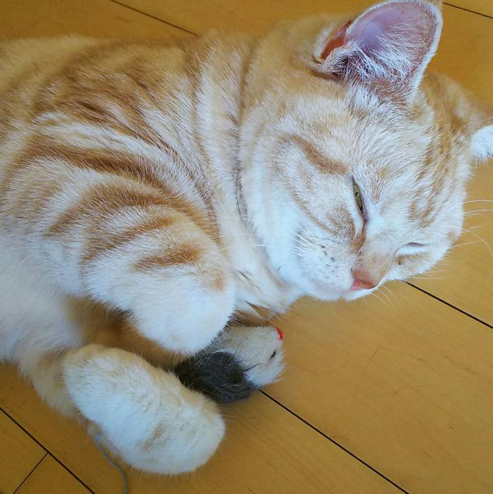 6bd12146 ccf8 43ca adb9 7fa7e72779ad