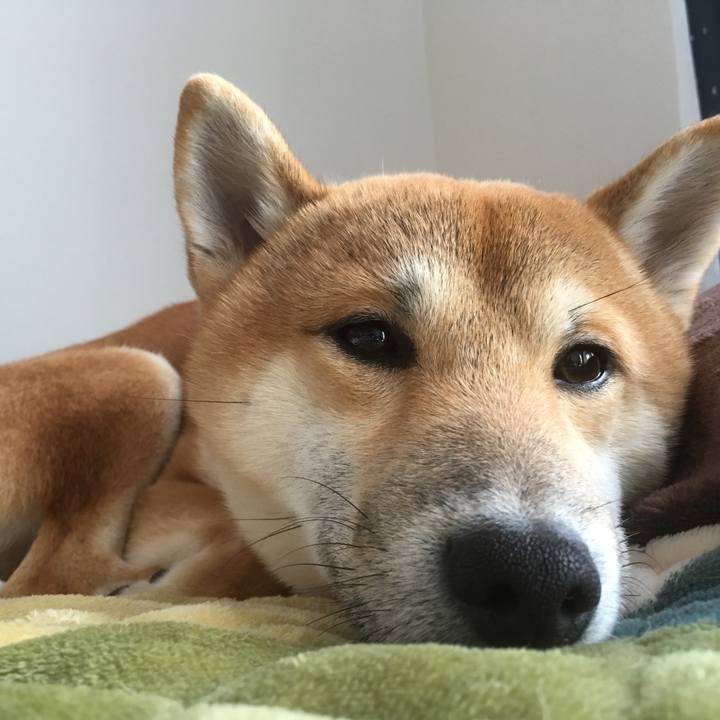 6bd173f1 a9c5 4ed5 b91f 6204423d2460