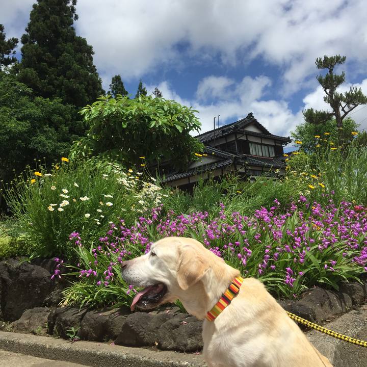 6bd1d970 b278 455a b5a5 238e5a9bc6a0