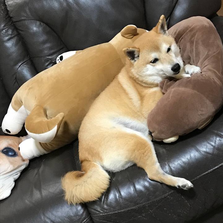 6bd2cc01 8534 49a2 8e08 a777f69b4644