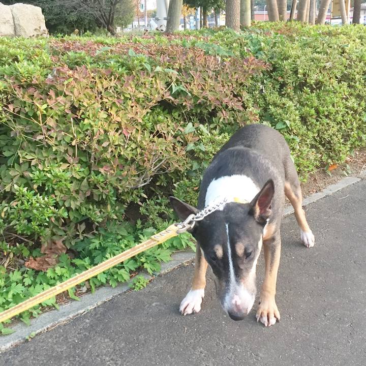 6bd33f7b 2105 424d 8a31 96bb79236da9