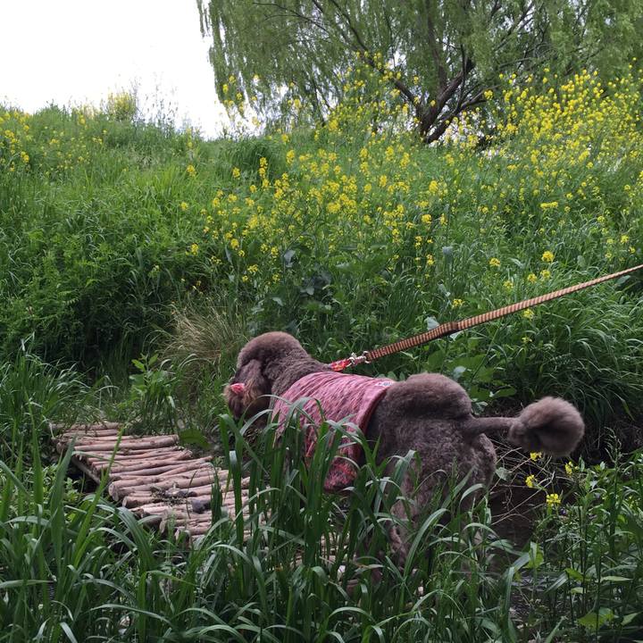 6bd34369 d63f 4a76 852d 76f4d42d5dd9