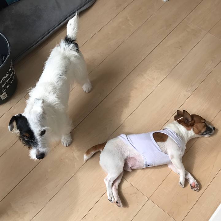 6bd389cb 53c3 44ca b10a d62e76e246c5