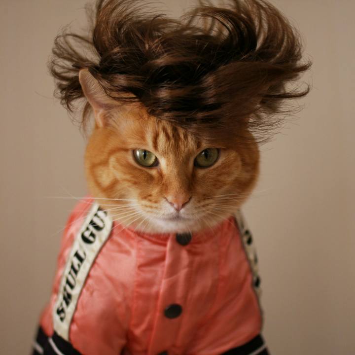 6bd460e2 b383 4373 b278 a3759e9b31b8