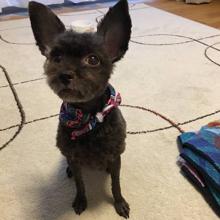 6bd4874f 290c 45c0 99ad 8f0984865d08