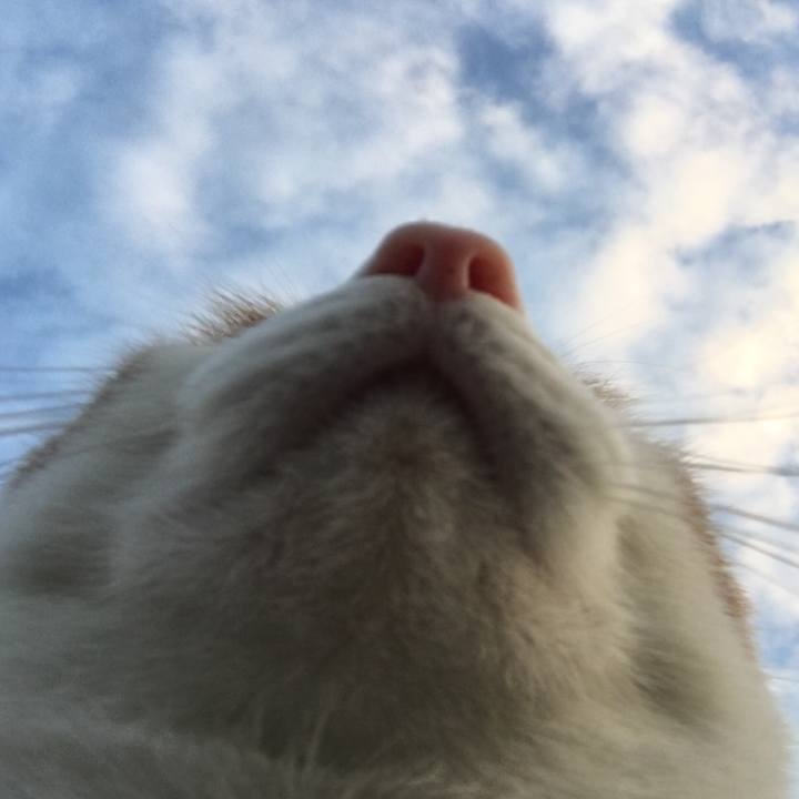 6bd4dbdb 5cfd 4b37 b7e6 084320d7c720