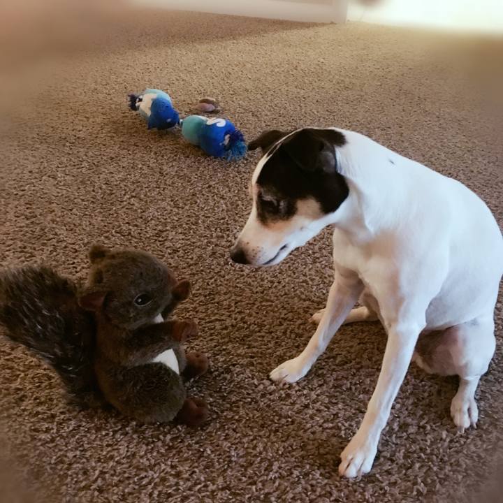 6bd56e11 e9f1 4e6a 93ea 18df13313ac0