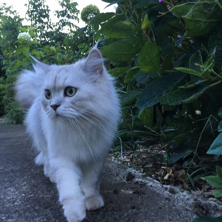 6bd5744f 15cb 4a5a 9482 0d306f6e007f