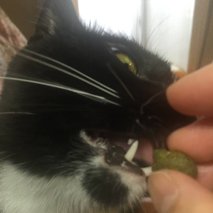 6bd58294 d124 4859 973f 7c0626298b31