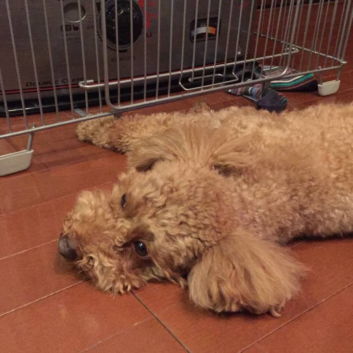 6bd607ff 7d6d 40f9 9d5b defef6a6045d