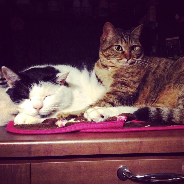 6bd6a110 e787 4b15 b2f4 e613632f9fa9