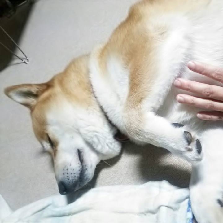 6bd6a166 e5b6 4e3c b5b5 455190e0df7a