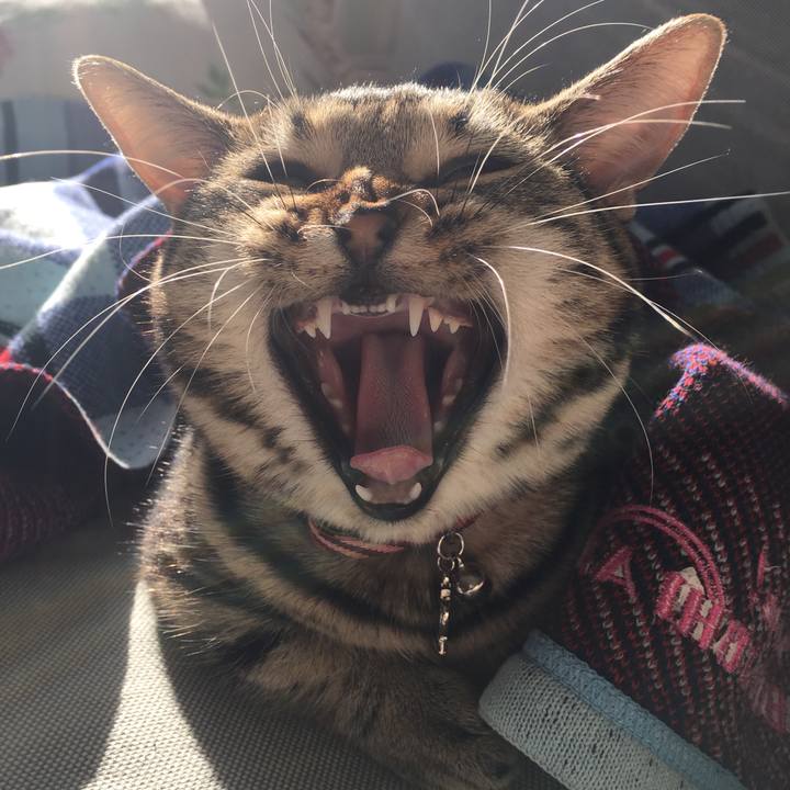 6bd6af96 a9de 41c3 bf16 43a51616c84a