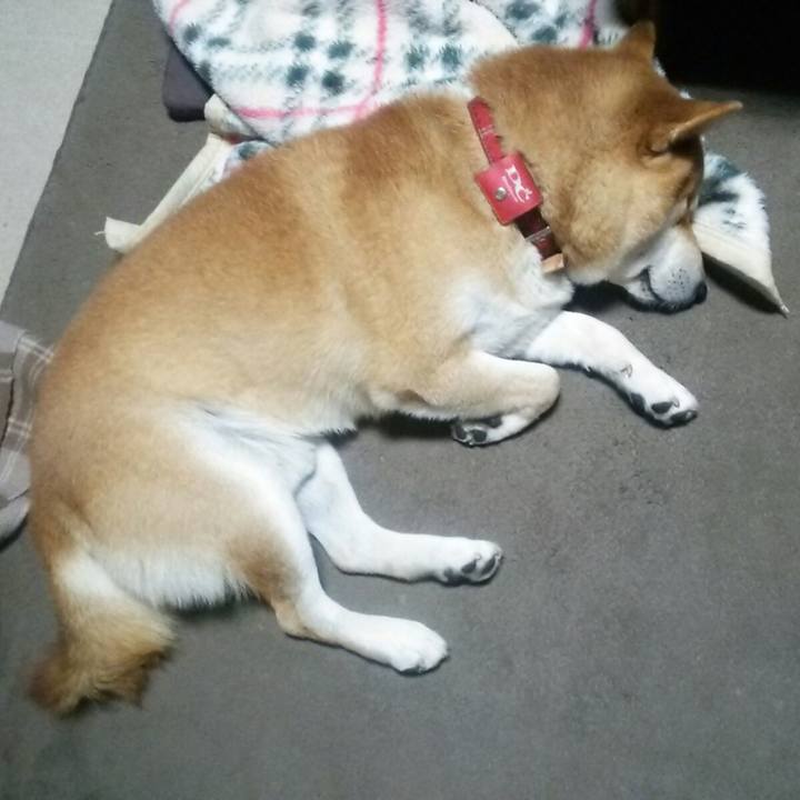 6bd72ebb cc93 47a3 85c8 f0960b6aa55b