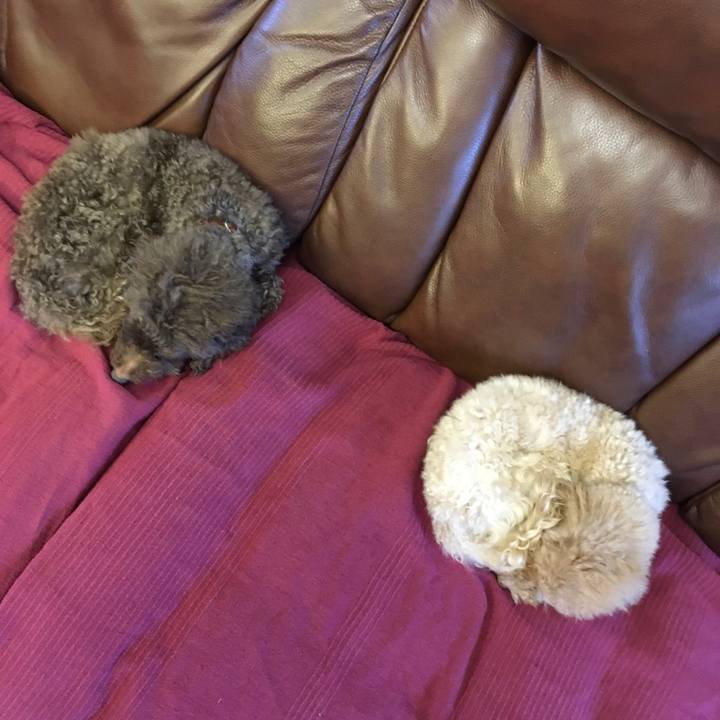 6bd74ab7 4be0 4b5a ad8d d1f9b70e7bb2