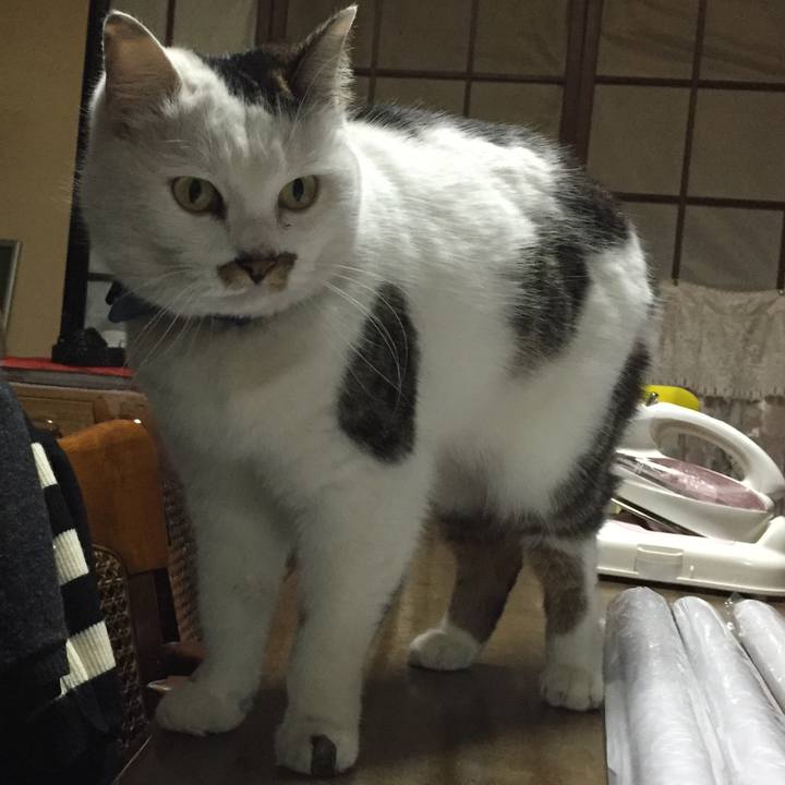 6bd77dd8 8592 49fb 96ae d23992e9ea8b