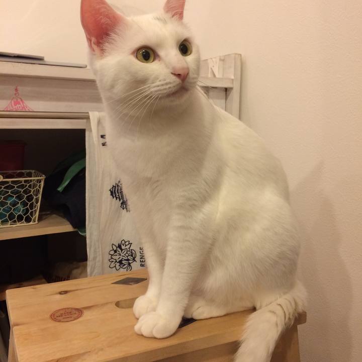 6bd842e4 cf68 4390 9dd9 3c859b0c5510