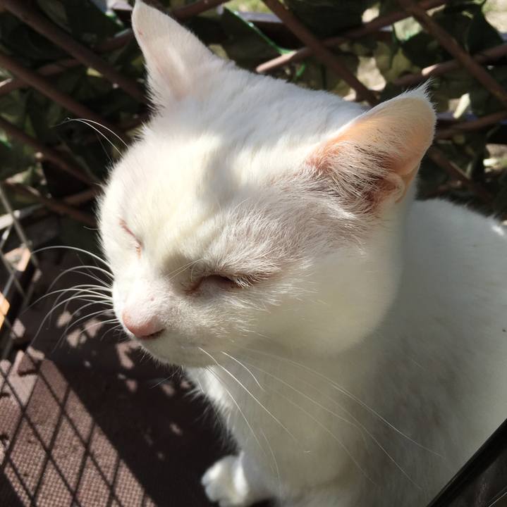 6bd8b7a5 3767 4510 aaaf 6d1fa4fd17b9