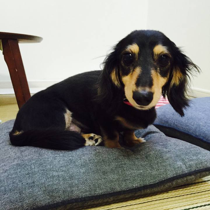 6bd90e13 6026 42e5 a384 6e46058e02b7