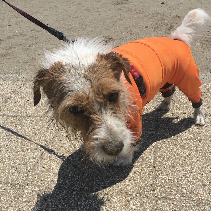 6bd953e9 bcaa 4adf b26e 8d0e4865c4d4